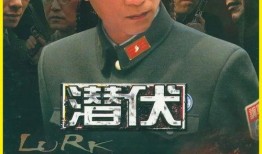 潜伏30在线观看,揭秘神秘潜伏者背后的惊心动魄故事